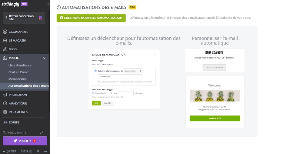 null Automatisation des Emails Strikingly
